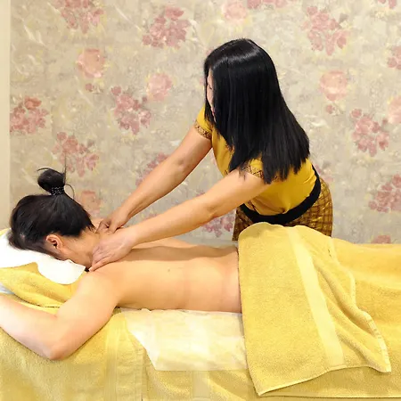 Ξενοδοχείο Maxplaza Τρνάβα