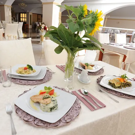 Maxplaza Ξενοδοχείο Τρνάβα